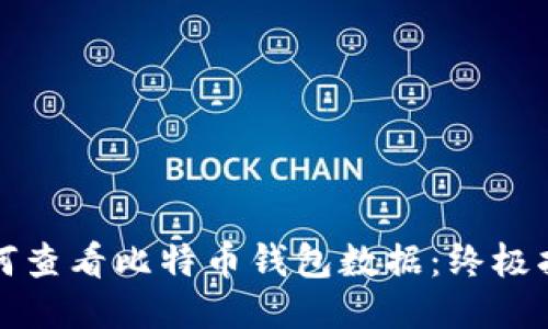 如何查看比特币钱包数据：终极指南