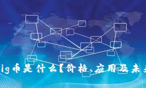 TP钱包的Pig币是什么？价格、应用及未来展望详解