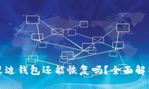 优质  
TP钱包删除里边钱包还能恢复吗？全面解析与解决方案