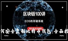 如何安全复制比特币钱包