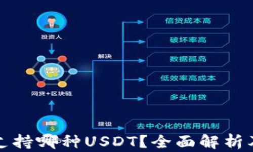 
狐狸钱包支持哪种USDT？全面解析及使用指南