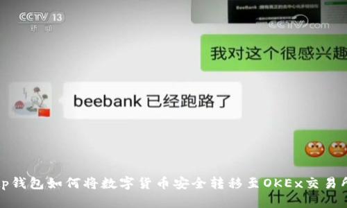 tp钱包如何将数字货币安全转移至OKEx交易所