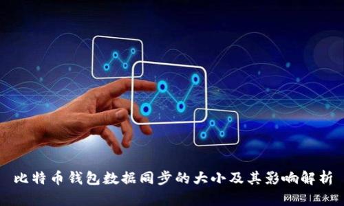 比特币钱包数据同步的大小及其影响解析