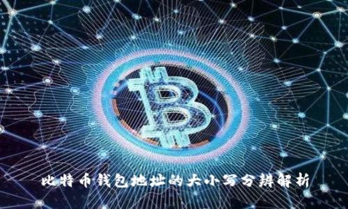 比特币钱包地址的大小写分辨解析