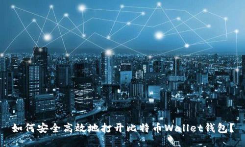 如何安全高效地打开比特币Wallet钱包？