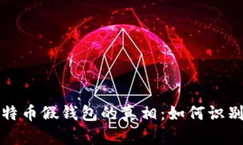 揭开比特币假钱包的真相：如何识别与防范