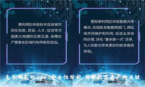 麦子钱包的USDT安全性分析：保护数字资产的关键