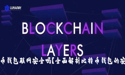 比特币钱包联网安全吗？全面解析比特币钱包的安全性