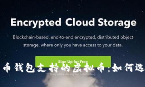 探索有本币钱包支持的虚拟币：如何选择和使用